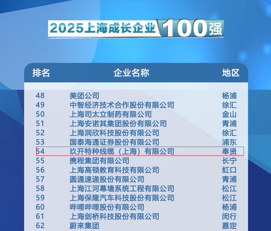 聚焦2025上海百强颁布会：FB体育特种线缆登榜成长企业100强